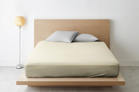 66fc3923-790c-4709-ad7a-1ba432782924